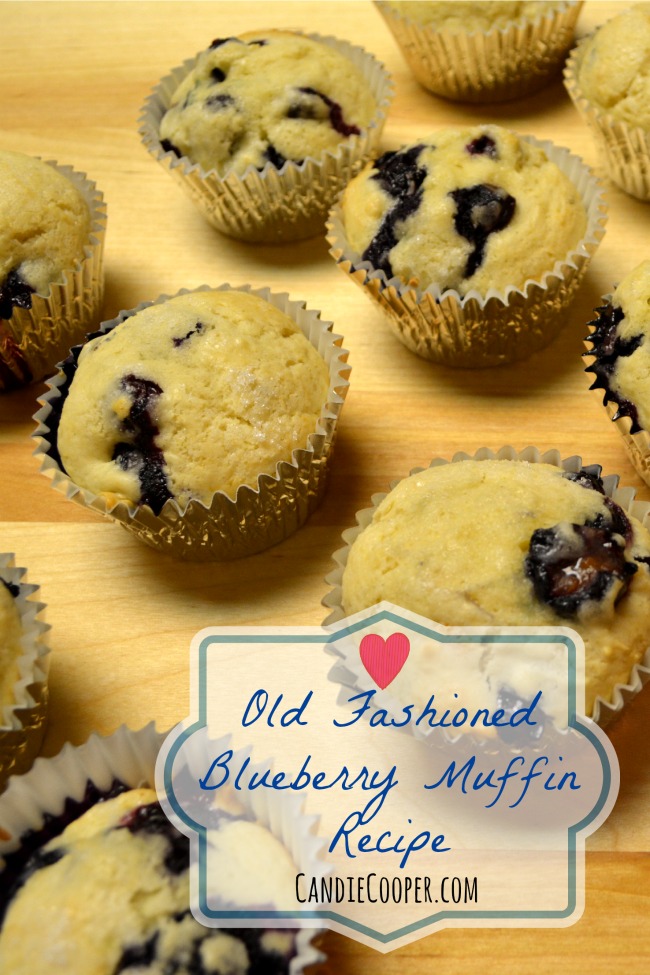 Old fashioned Blueberry Muffin Recipe