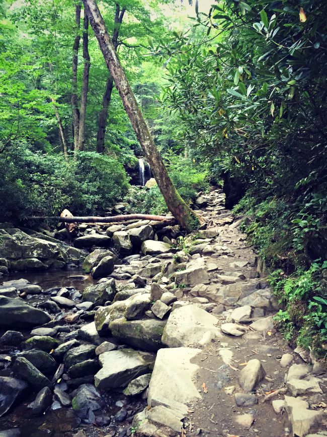 Path to Grotto Falls in the Smokies