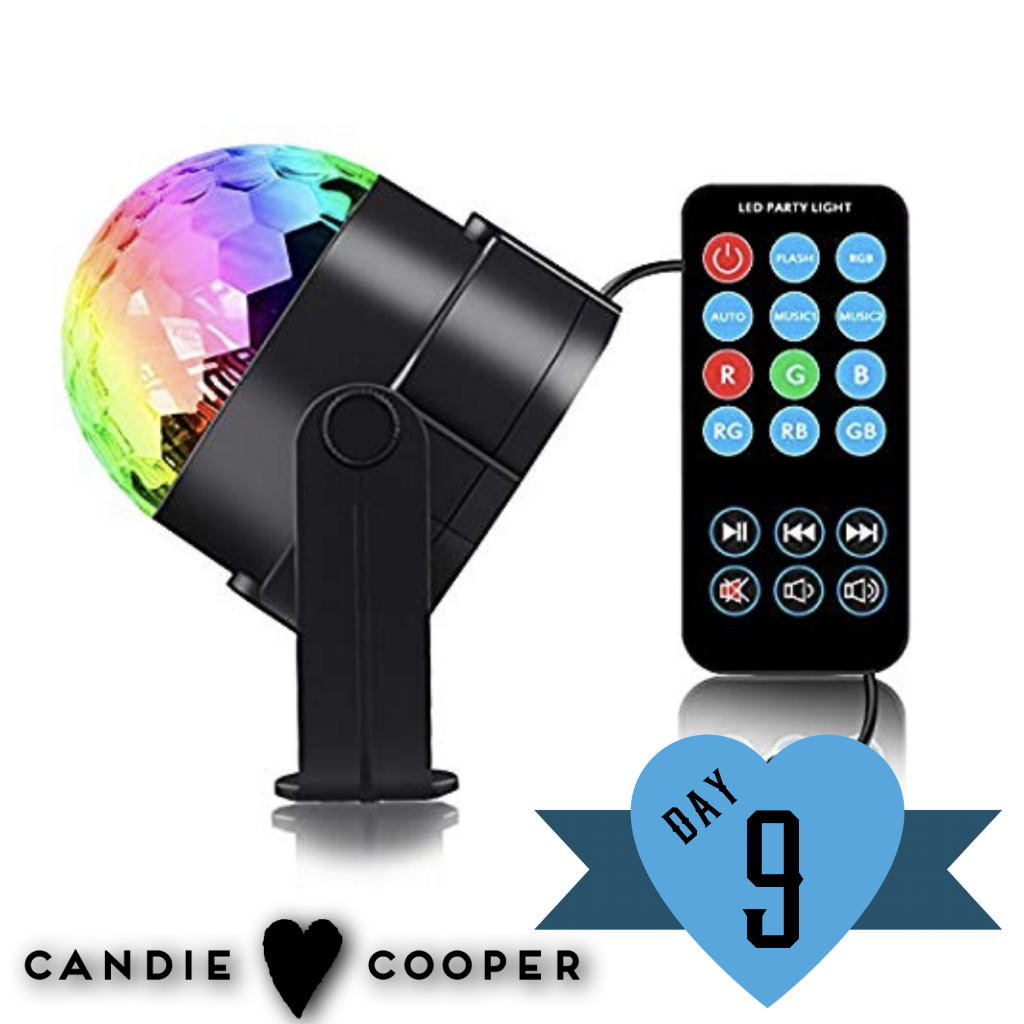 2018 12 Days of Giveaways with Candie Cooper-Disco Ball Light